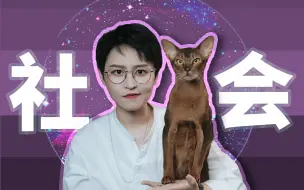 Download Video: 【科学养猫】怎样拥有一只乖巧粘人的小猫咪？一定要做好社会化训练！看完就学废啦！