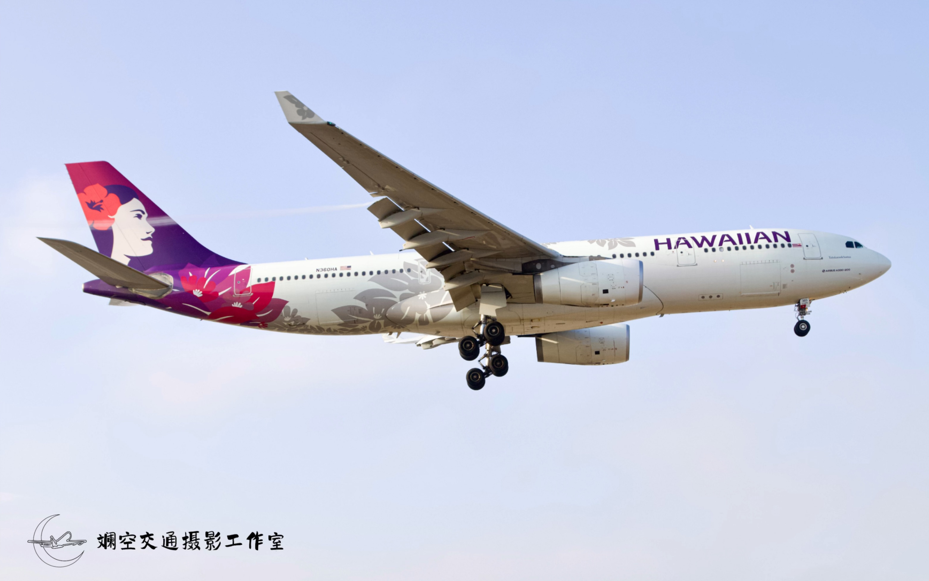 A330-243图片