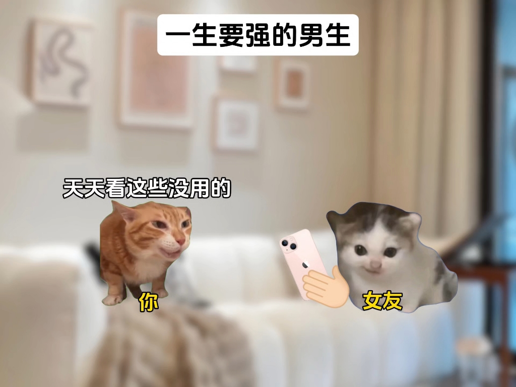 一生要强的男生#猫meme#搞笑#抽象#万万没想到