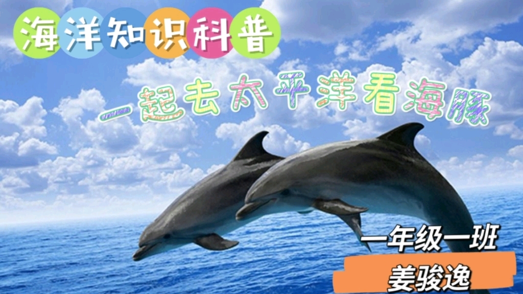 小学一年级海洋知识科普哔哩哔哩bilibili