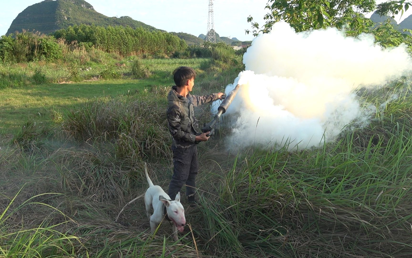 鼠害猖狂破坏农作物,小明带上灭鼠神器“浓烟小钢炮”,结局痛快哔哩哔哩bilibili