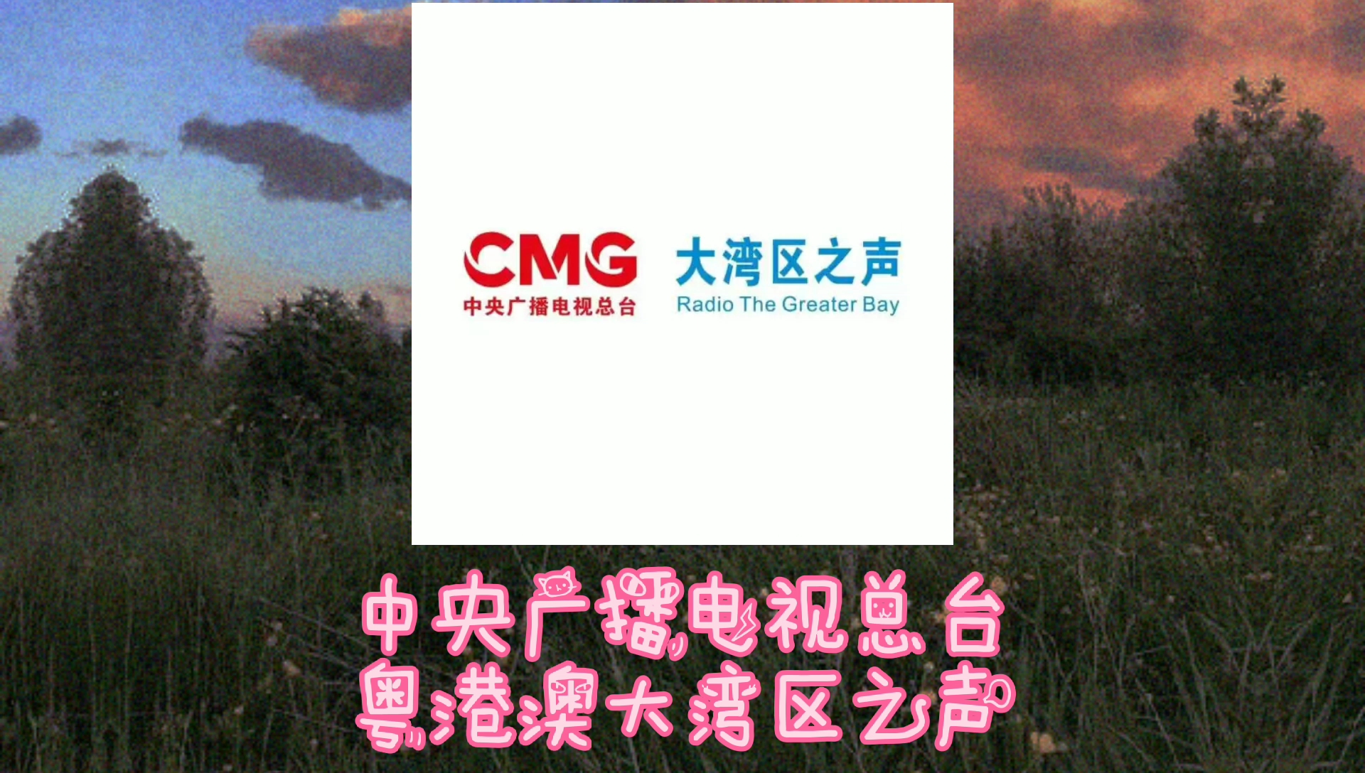 放送文化中央广播电视总台粤港澳大湾区之声呼号含国歌及开始曲片段