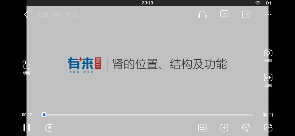 肾的位置结构和功能学习视频哔哩哔哩bilibili