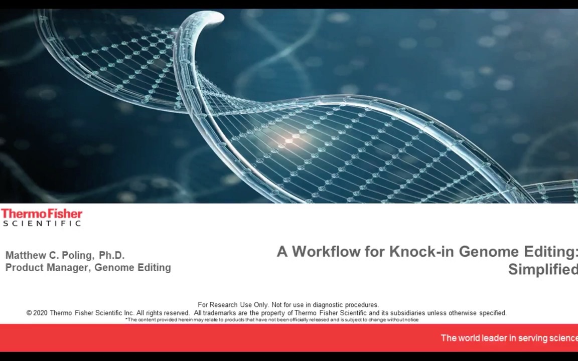 [图]基因编辑/基因敲入：A Workflow for Knock-in Genome Editing Simplified