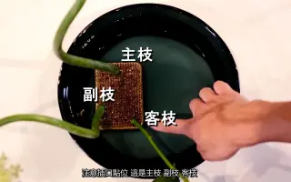 小原流 搜索结果 哔哩哔哩 Bilibili