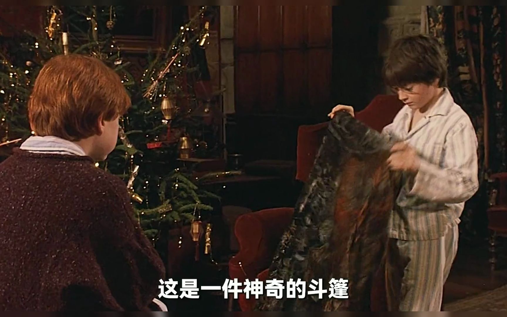 哈利波特~男孩获得隐身斗篷,最终和伙伴一起打败可怕的恶魔