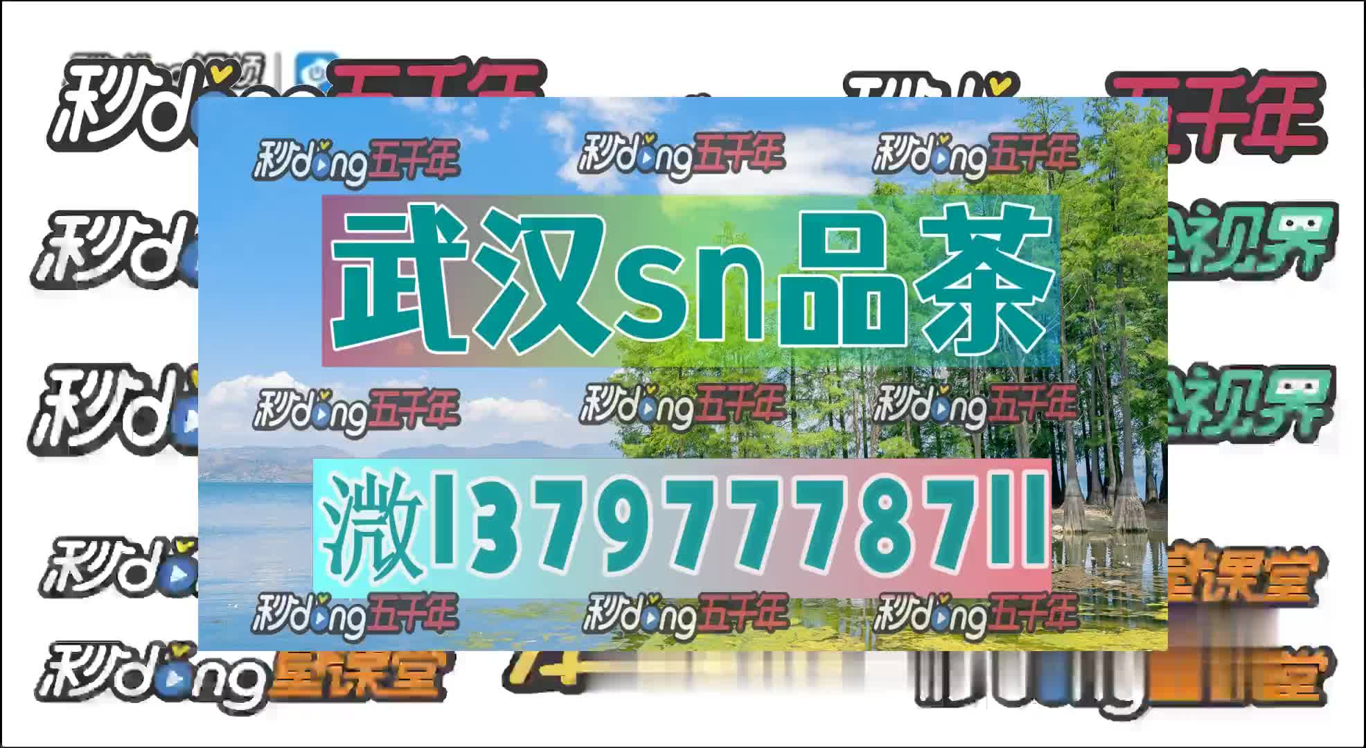 9/0分钟讲解武汉武昌sn休闲娱乐品质品茶