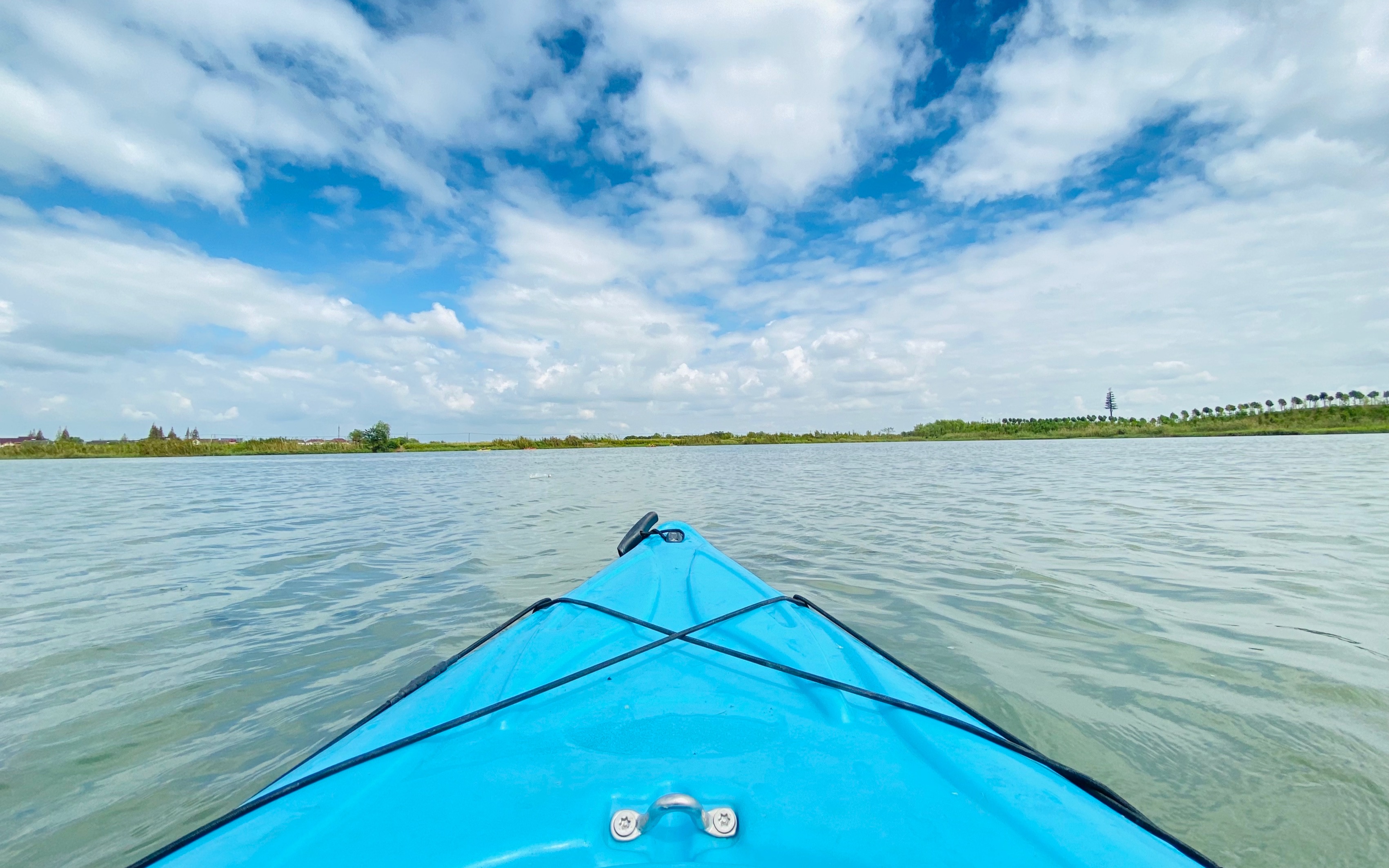 淀山湖皮划艇/青西郊野公园/最美水杉林