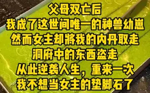 下载视频: 第2集《命中机缘》父母双亡后，我成了这世间唯一的神兽幼崽，然而女主却将我的内丹取走，洞府中的东西盗走，从此逆袭人生，重来一次，我再也不想当女主的垫脚石了