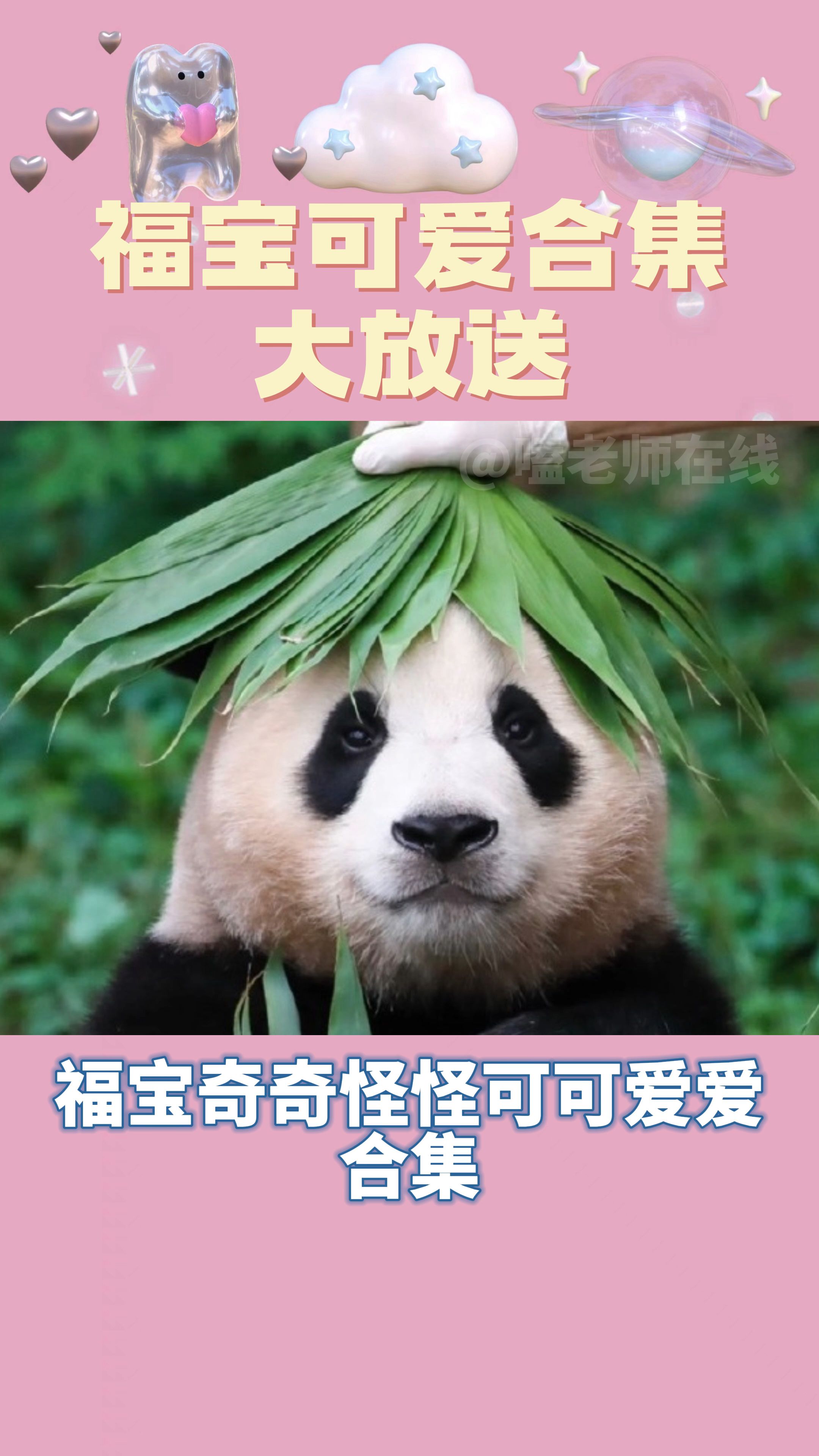 福宝可爱合集大放送