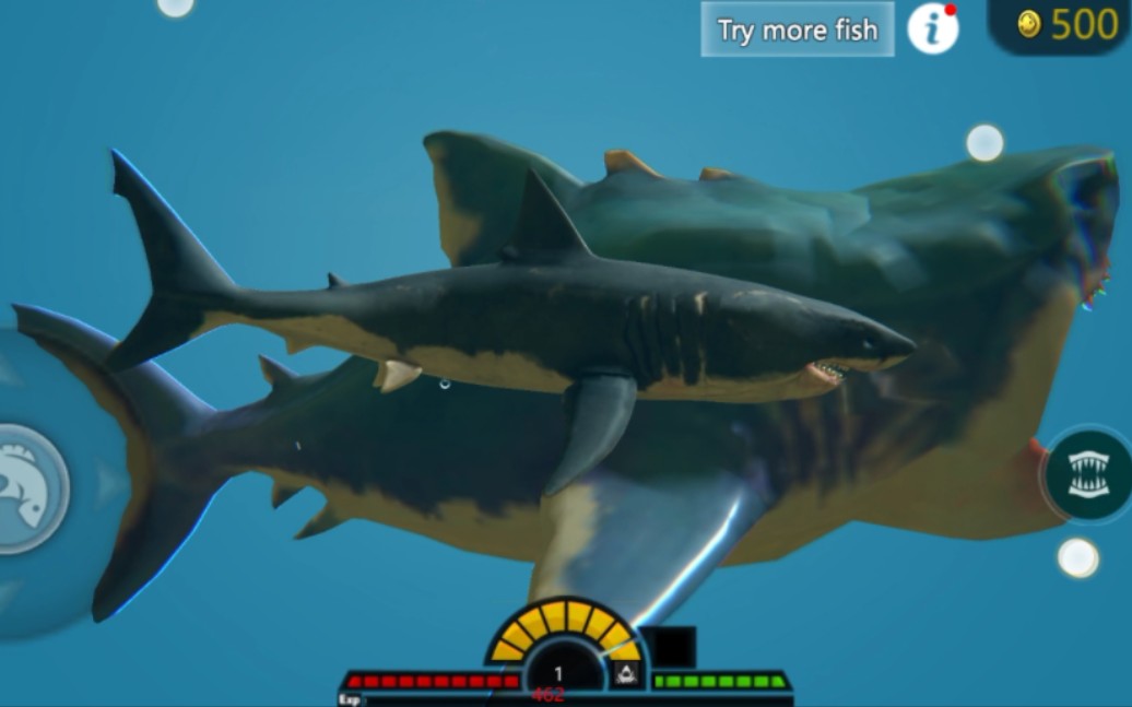 海底大猎杀:大白鲨的复仇,干掉7级的巨齿鲨!