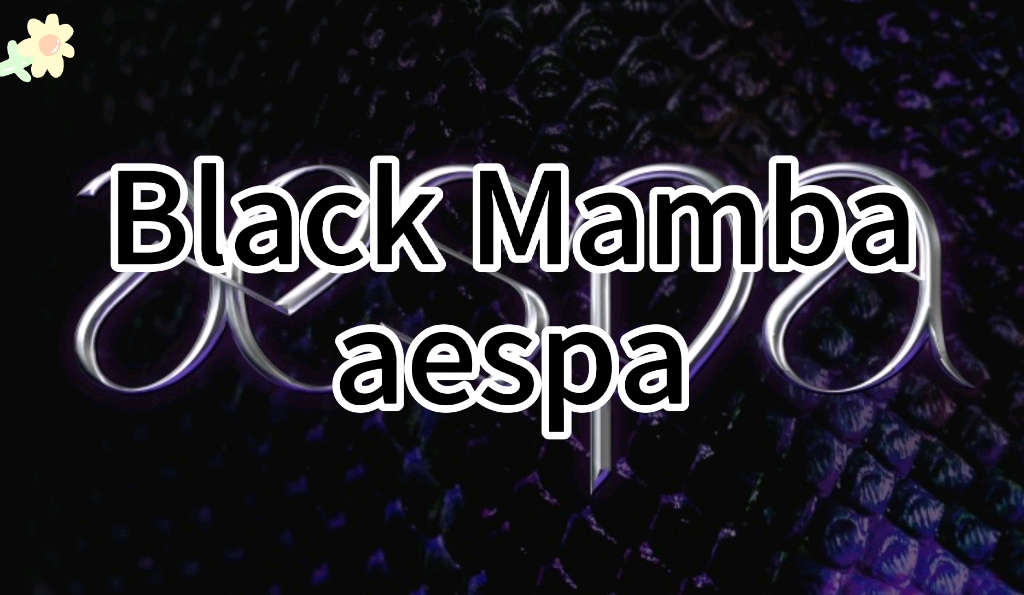 空耳学唱aespa《black mamba》中文音译歌词快速学唱