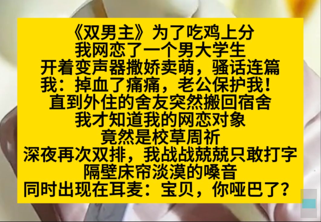 双男主 为了吃鸡上分,我网恋了男大学生,开着变声器撒娇卖萌,S话连篇……小说推荐哔哩哔哩bilibili