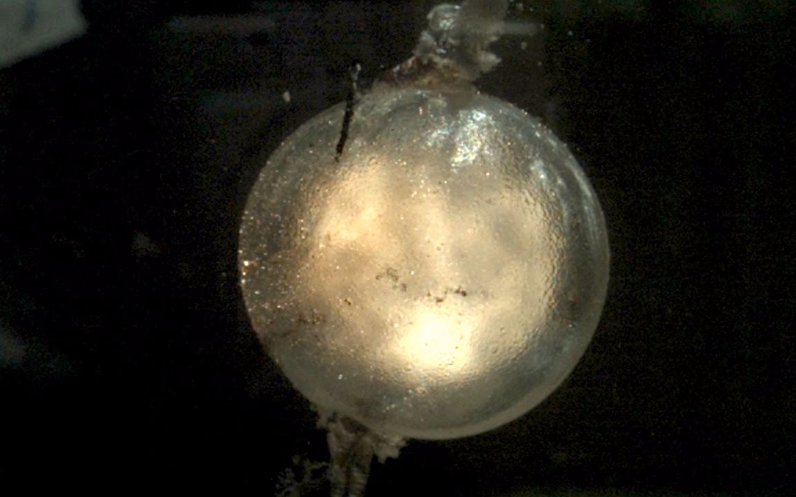 【盖蛋慢镜头】每秒120000帧拍摄到的水下爆炸 @柚子木字幕组