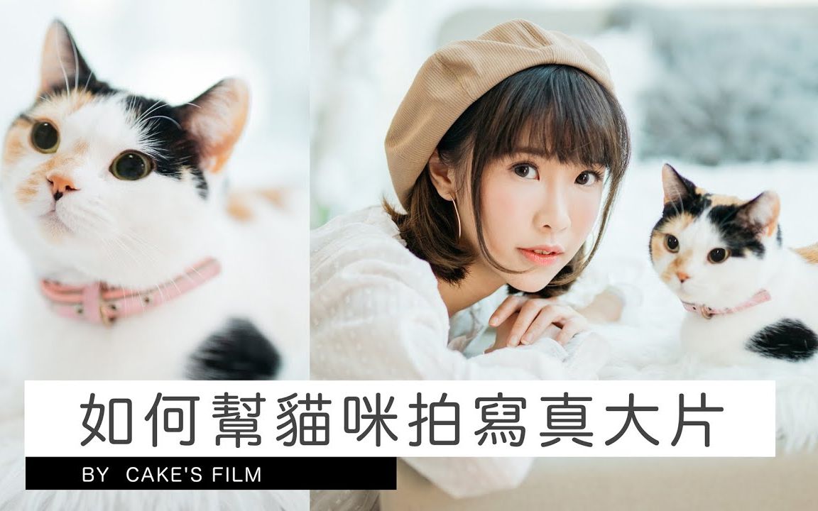 猫咪怎么拍最可爱?宠物摄影技巧分享| 女摄影师Cake's Film哔哩哔哩bilibili