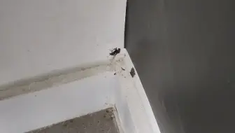 顶上去不能让我一个人反胃