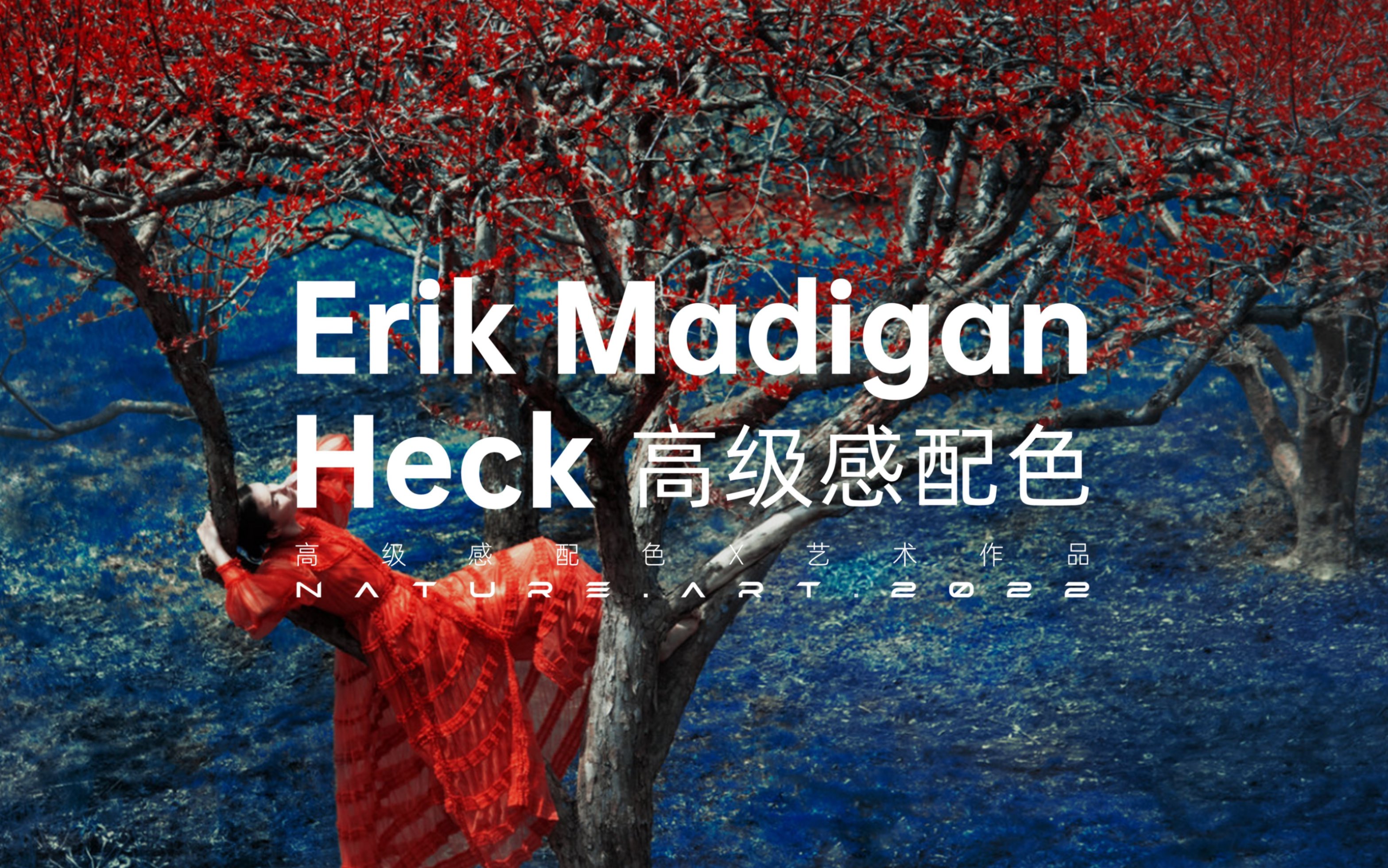 艺术作品 | 高级感配色X审美提升 | Erik Madigan Heck摄影作品色彩美学花园系列哔哩哔哩bilibili