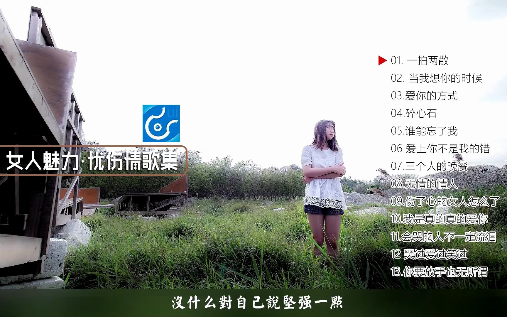 [图]女人魅力·夏伤情歌集(Dynamic Lyrics Version）发烧女声测试金曲