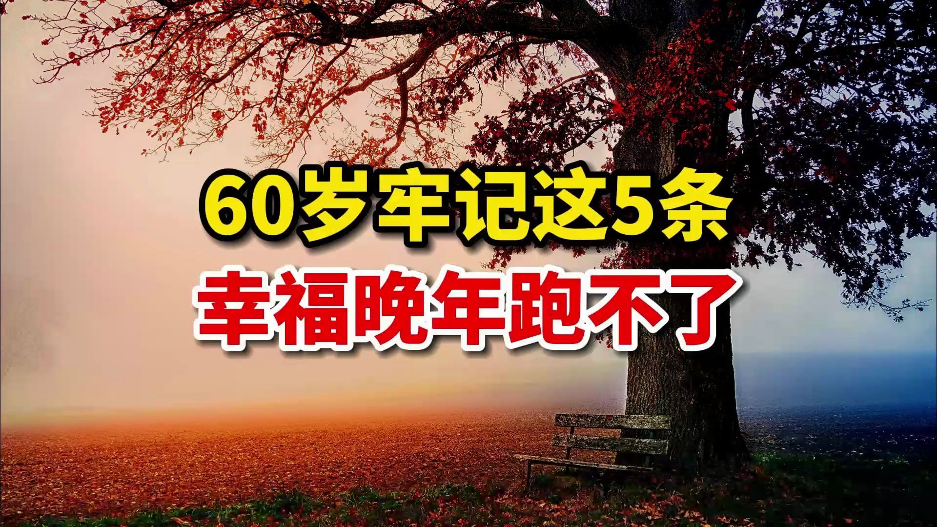 60岁后,不管本事多大,都不要做这5件事,不然晚景凄凉哔哩哔哩bilibili