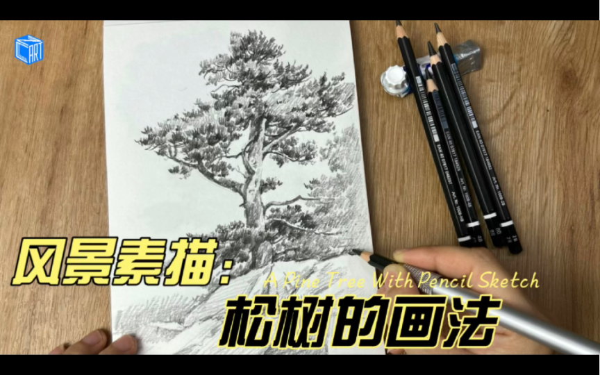 【绘画过程】风景素描|松树的简单画法示范哔哩哔哩bilibili