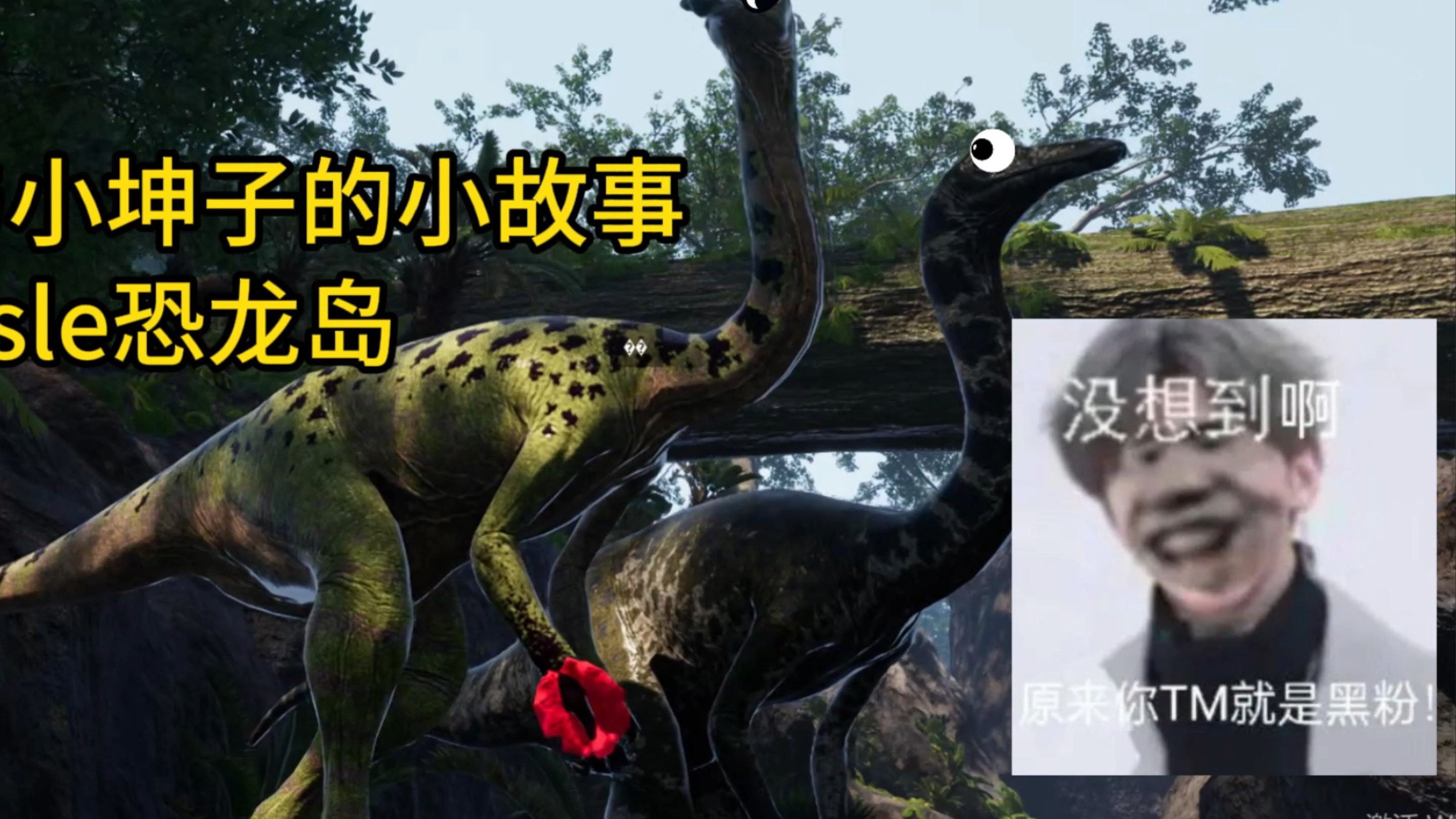 社交互动:建立稳固的合作关系