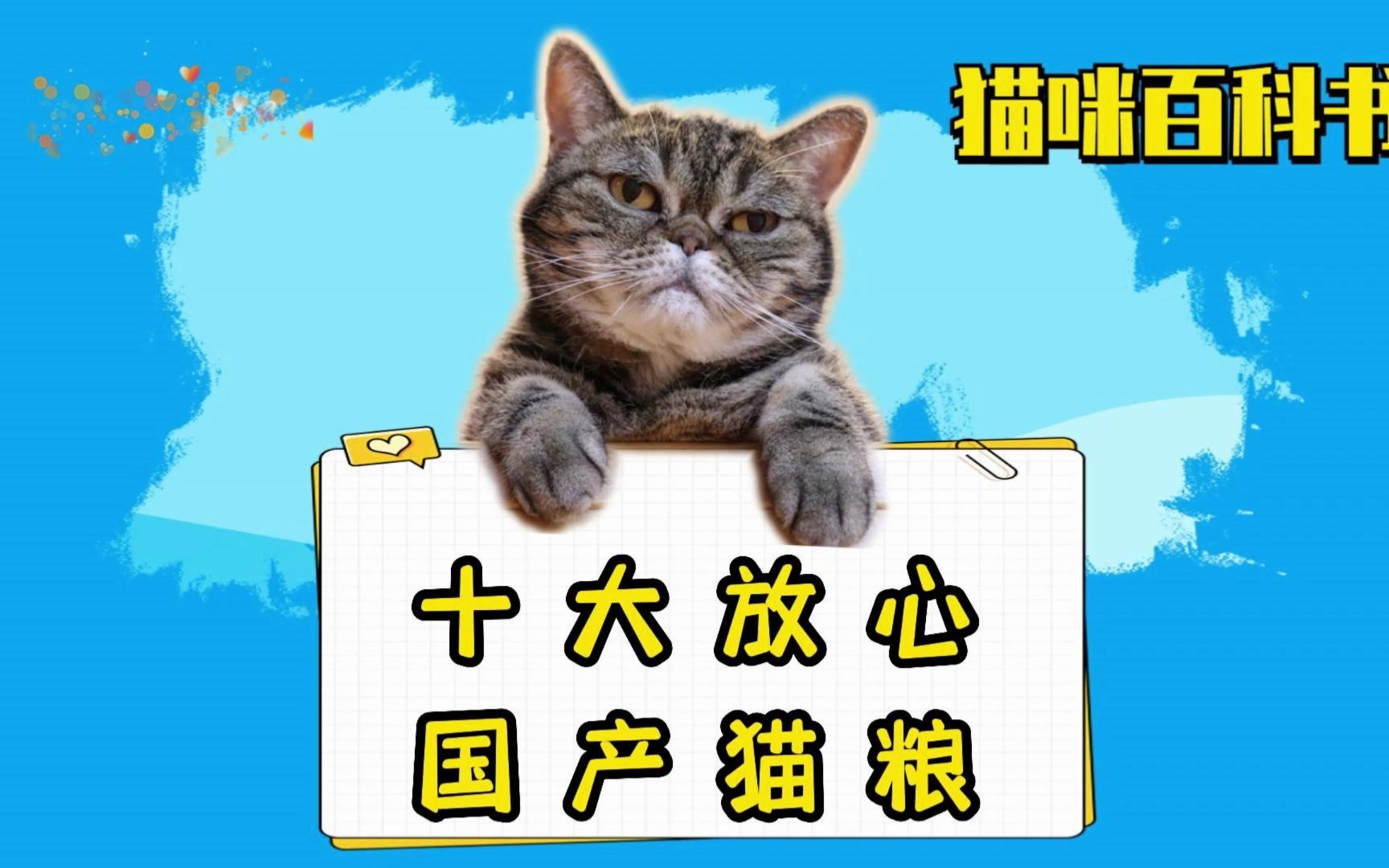 十大放心国产猫粮来喽!赶紧码住!哔哩哔哩bilibili