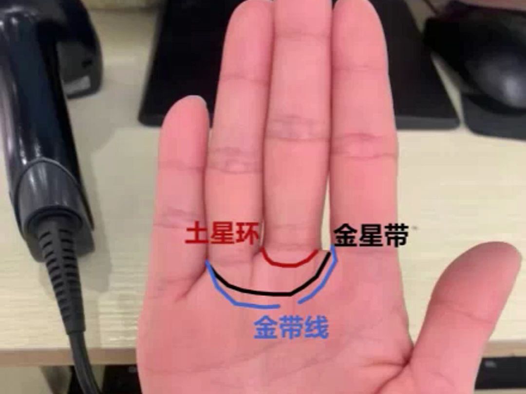 [图]通过手相看一个人的情欲程度