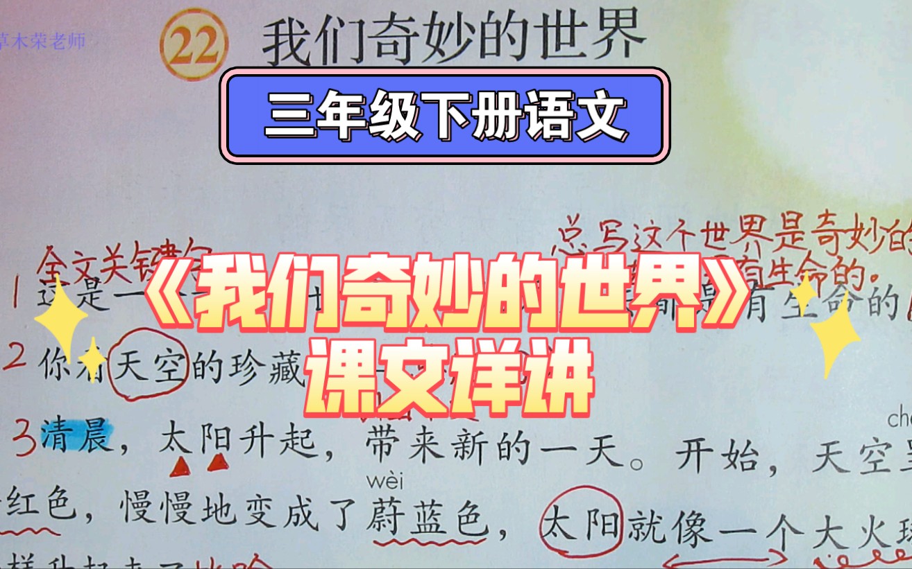 三下语文《我们奇妙的世界》课文讲解,总分总的结构,你学会了吗?哔哩哔哩bilibili