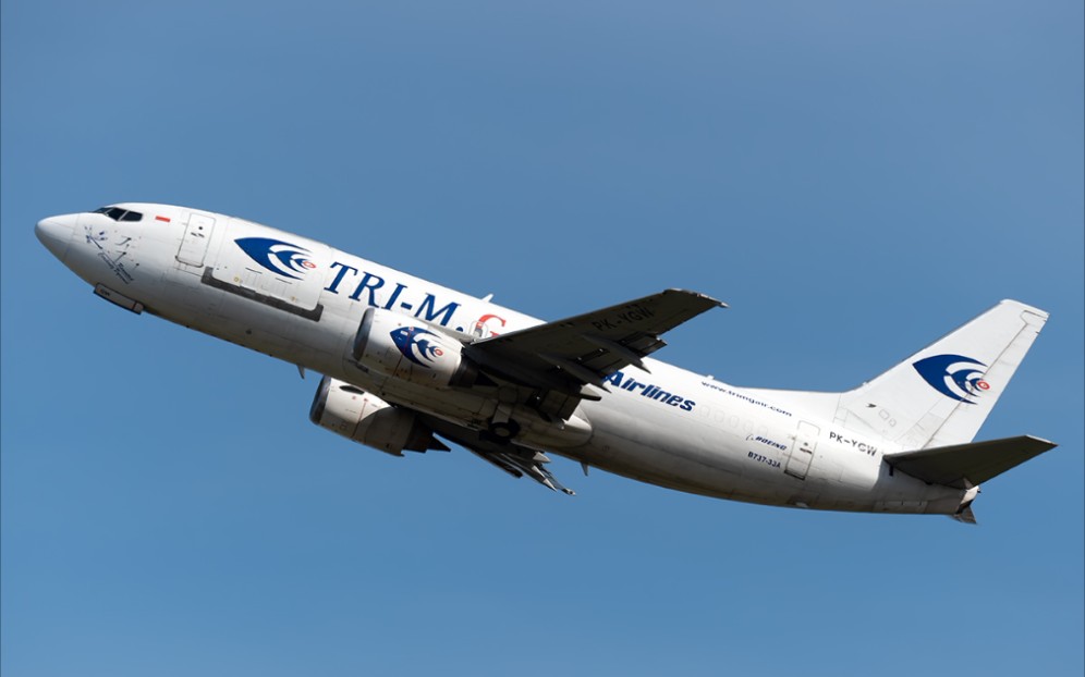 【驾驶舱视角】trimg航空b733不丹帕罗机场重着陆