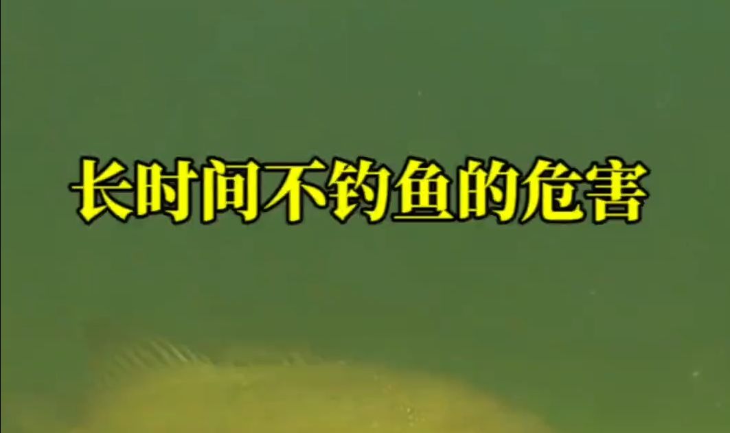 长时间不钓鱼的危害,邻居都不热情了,快哎特你身边的钓友来看 长时间不钓鱼的危害,邻居都不热.....哔哩哔哩bilibili