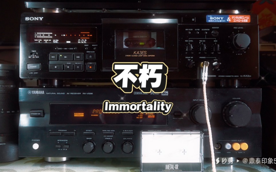 [图]《Immortality》（不朽）演唱：BEE GEES（比·吉斯兄弟乐队）