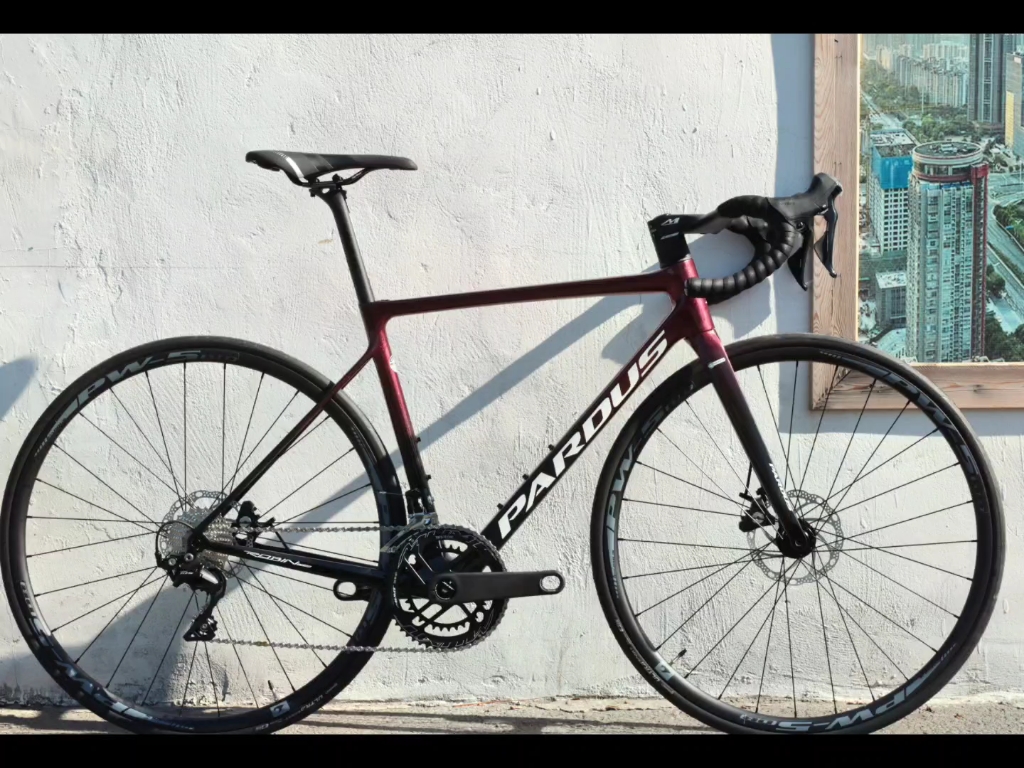 瑞豹 robin rs公路车