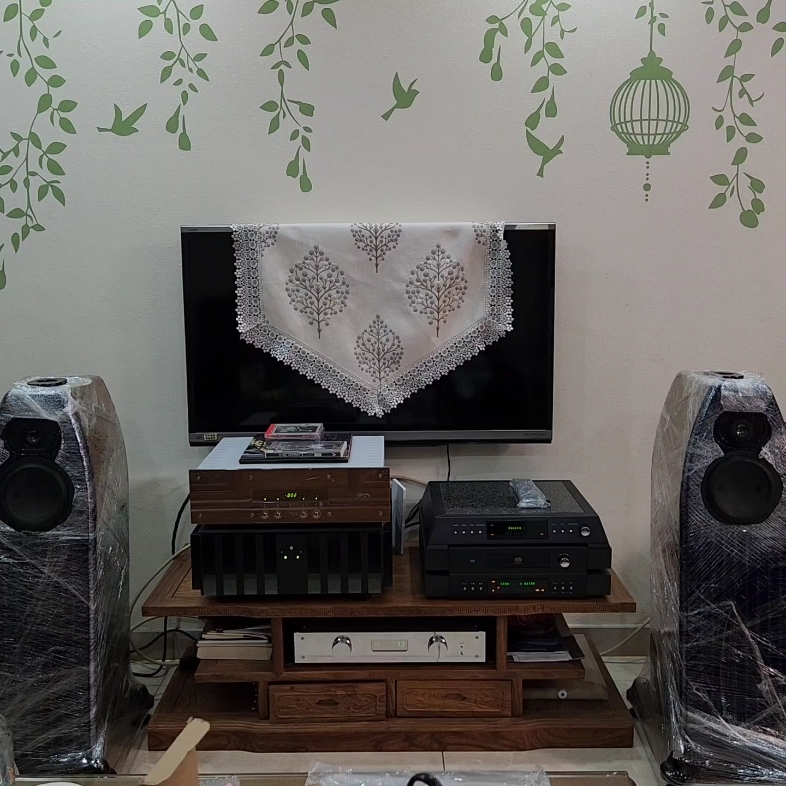 卫兰 concert 2010 傻女