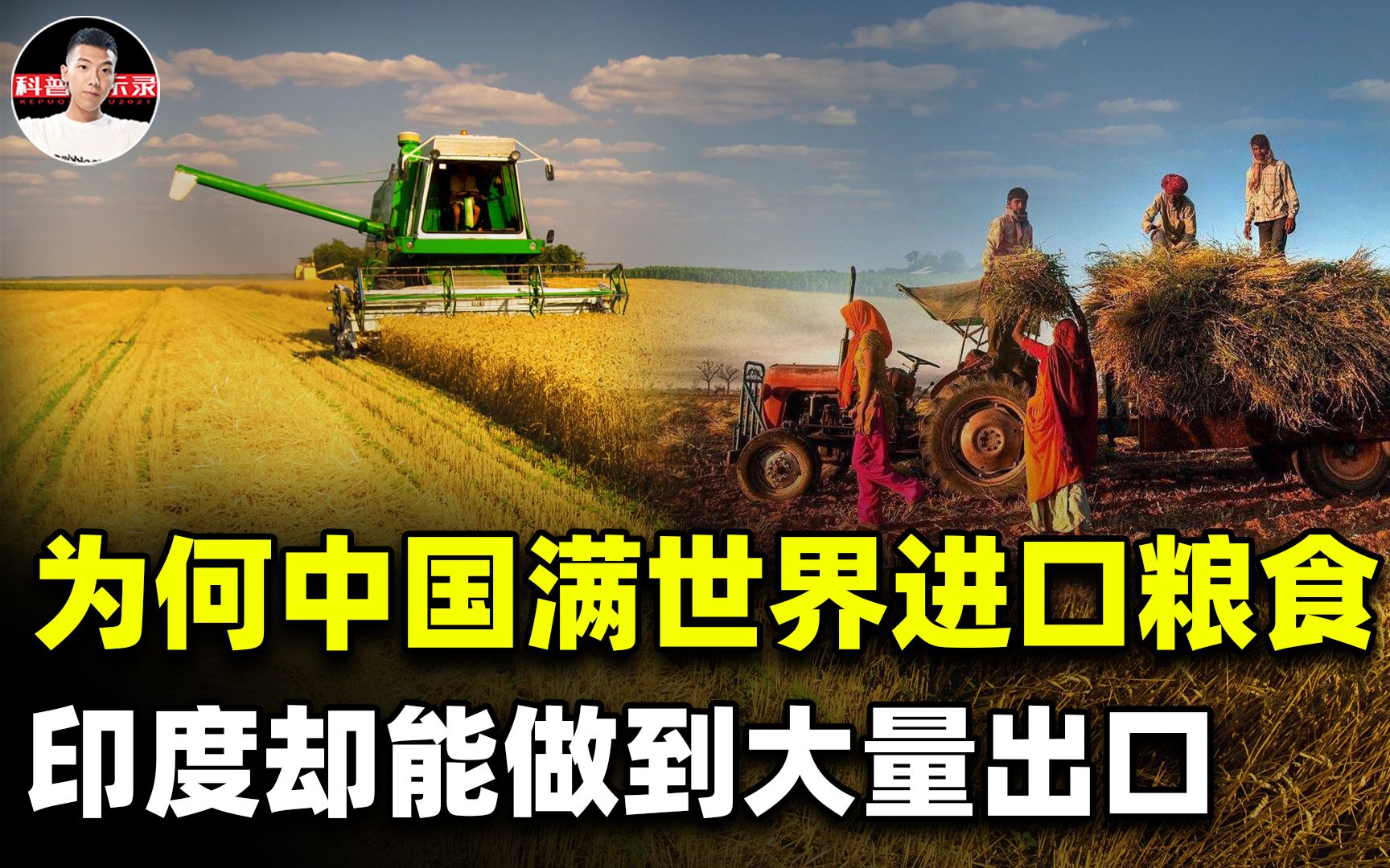 27%的国民极度饥饿,近2亿人营养不良!印度饥饿售粮是什么操作哔哩哔哩bilibili