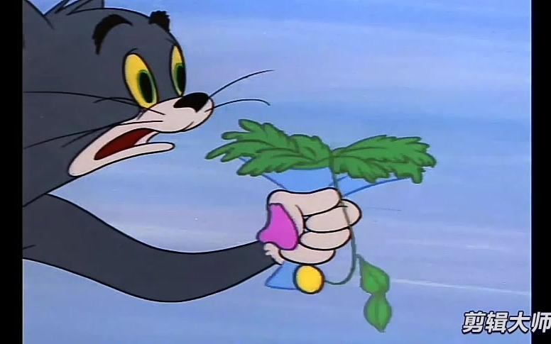 【blue cat blues】情不知所起一往而情深