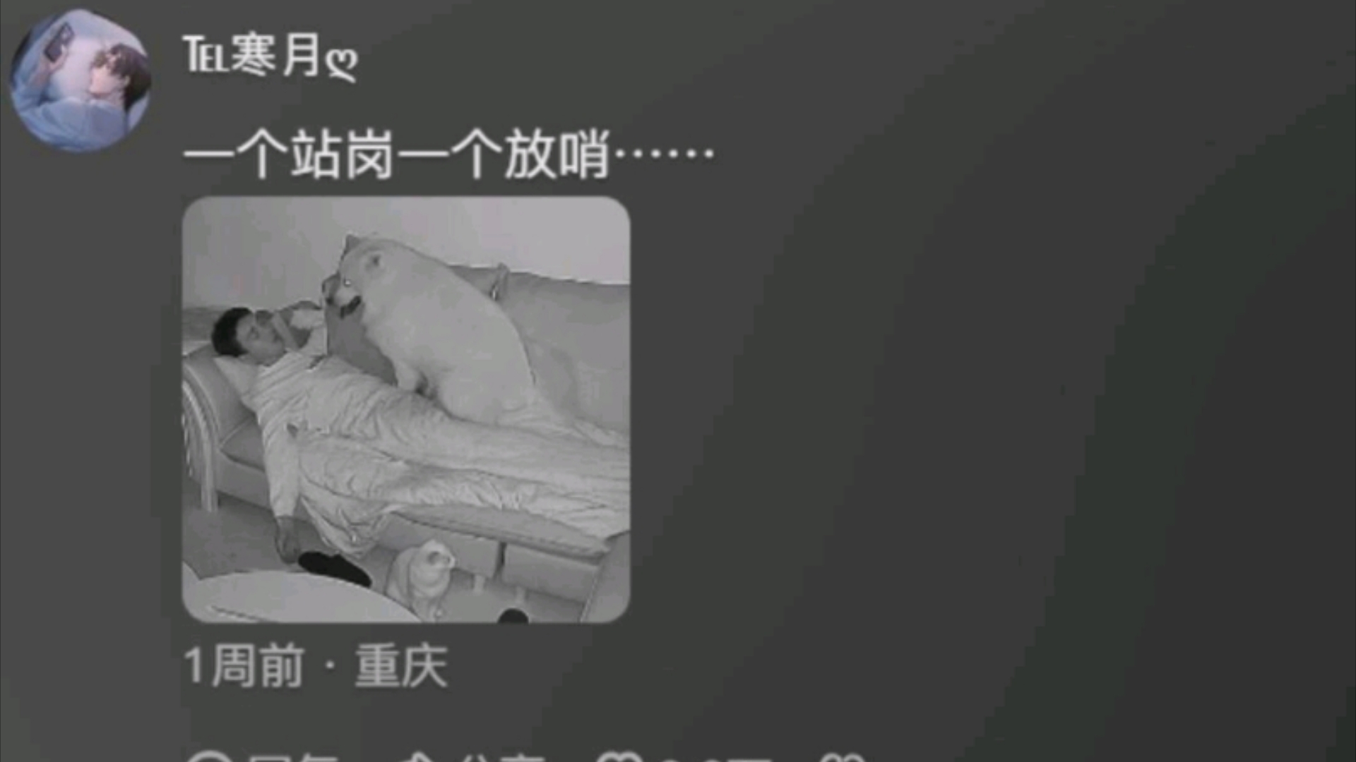 对象第一次在家里过夜,狗子盯了他一夜哔哩哔哩bilibili