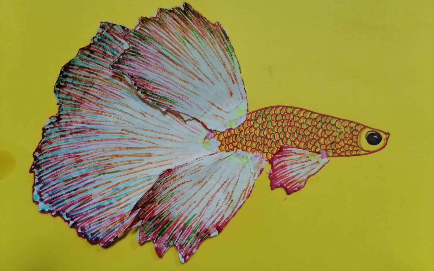 水彩笔技法/美丽的斗鱼