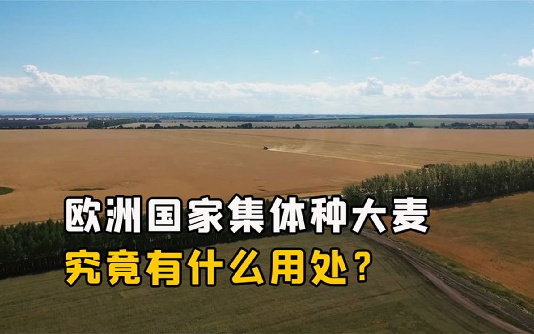 欧洲国家为啥集体大量种植大麦?他们要那么多大麦,有什么用处?哔哩哔哩bilibili