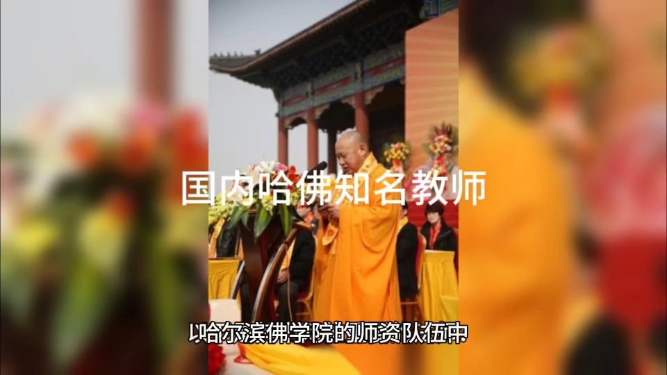 国内哈佛知名教师