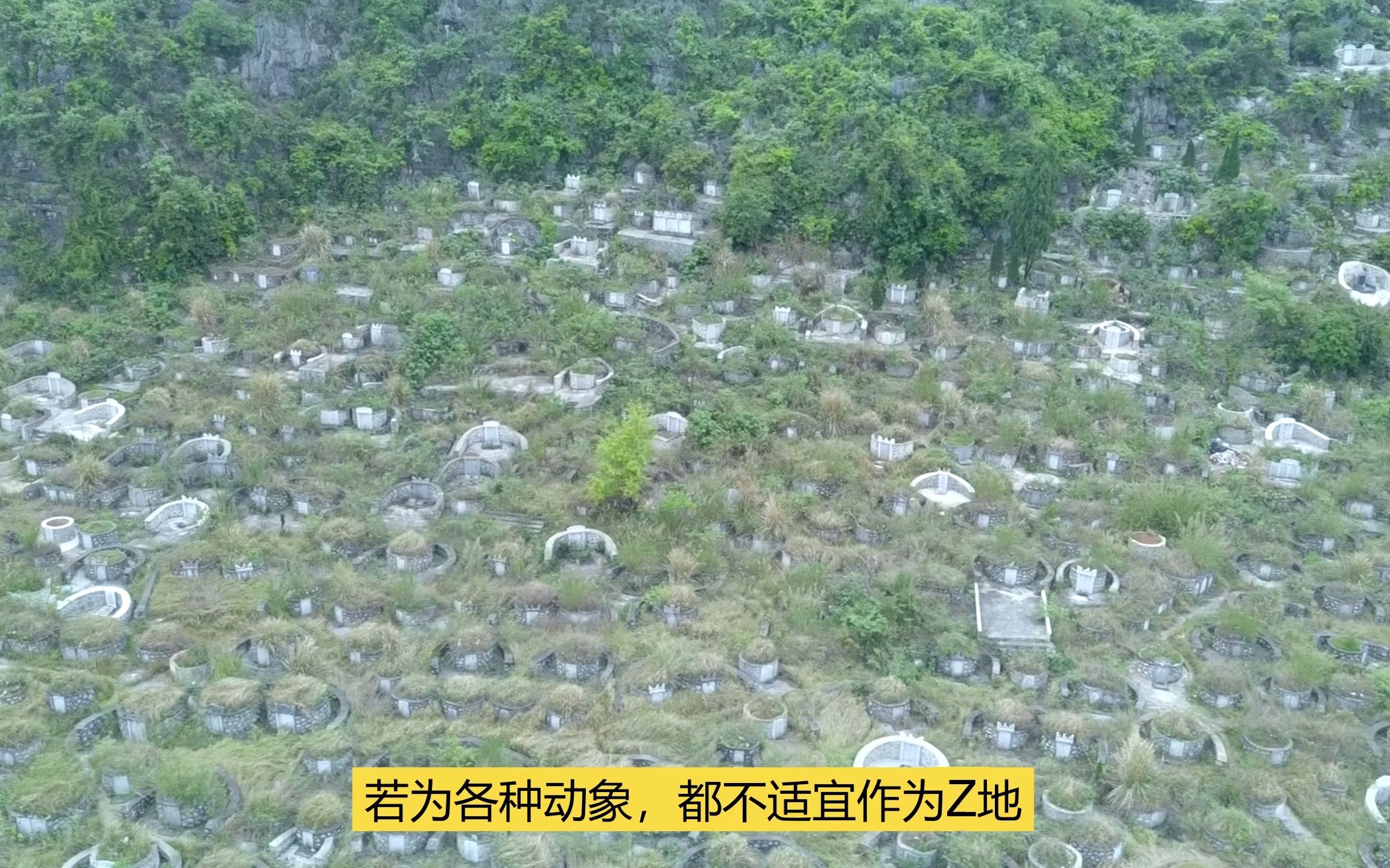 “郭璞”著文:牛卧马驰,鸾舞凤飞,蜷蛇委蛇.鼋鼍龟鳖,以水别之,牛富凤贵.哔哩哔哩bilibili