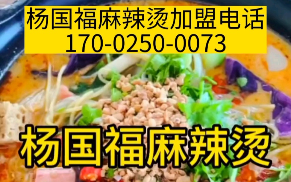 在三线城市开一家杨国福麻辣烫加盟店多少钱?杨国福麻辣烫加盟电话17002800073哔哩哔哩bilibili