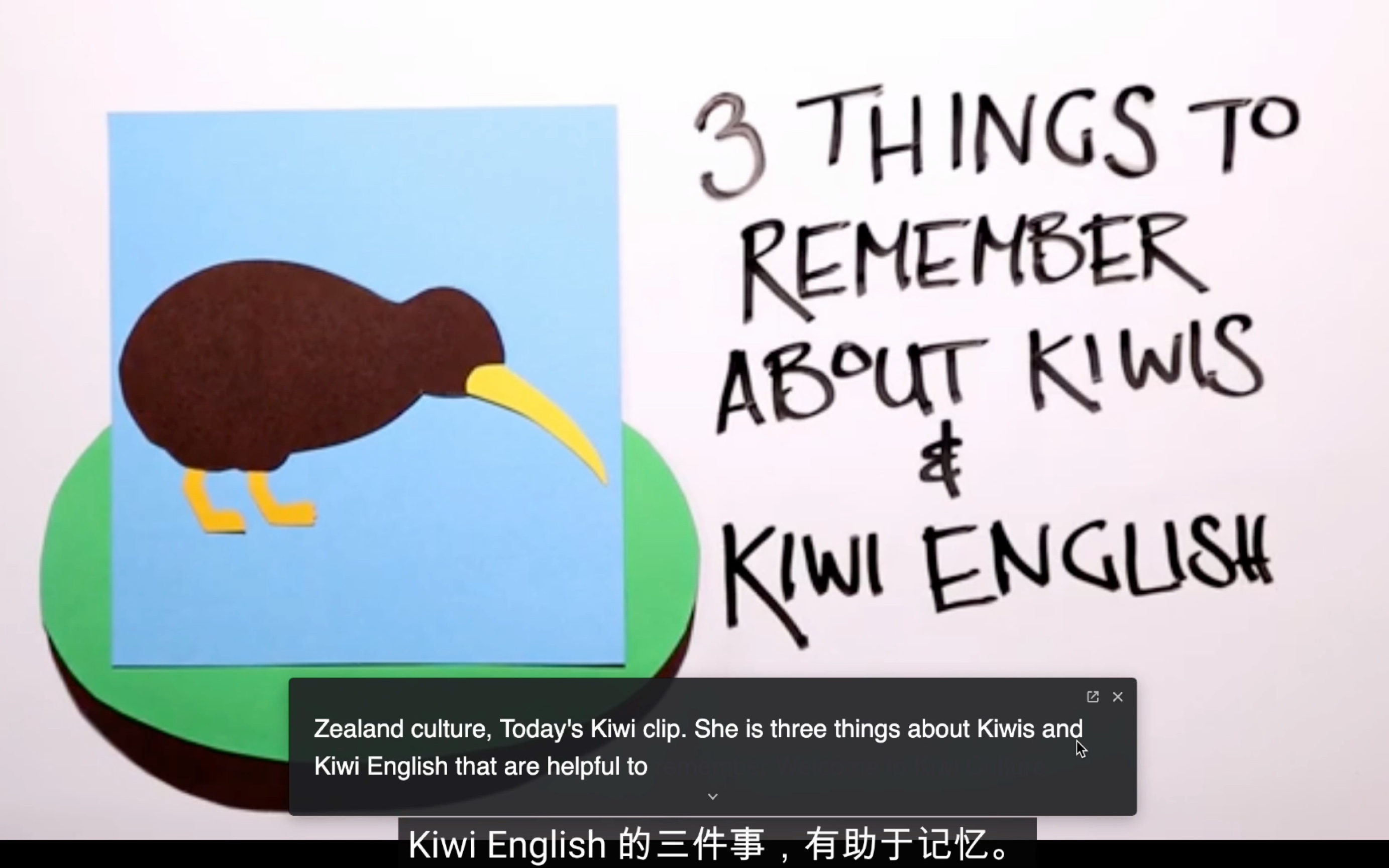 关于Kiwis和Kiwi(新西兰)英语要记住的 3 件事哔哩哔哩bilibili