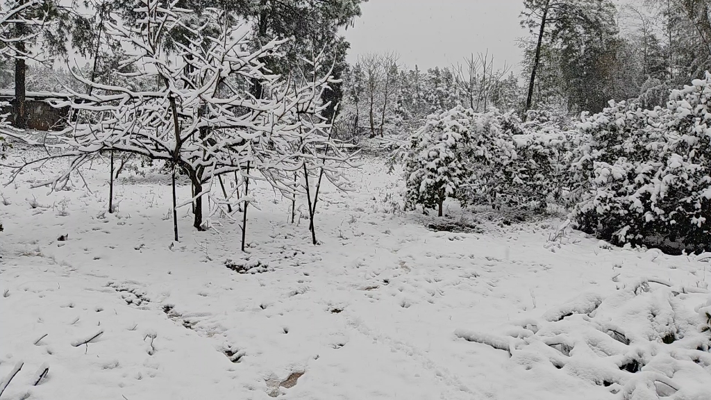 [图]江西大雪时的老家乡下