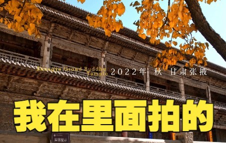 [图]2分钟看张掖大佛寺，看西北秋景，甘肃秋天，西北大环线