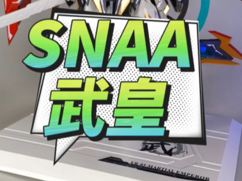 SNAA武皇,全水贴上线~哔哩哔哩bilibili