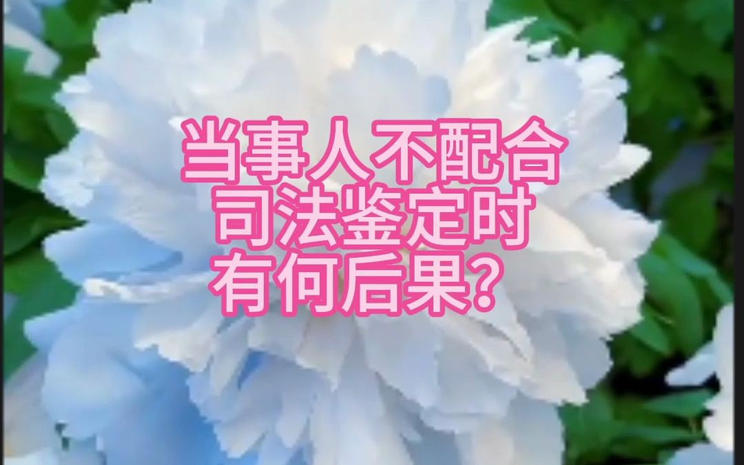 当事人不配合司法鉴定时有何后果?哔哩哔哩bilibili