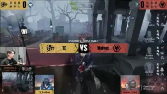 Download Video: 【凉哈皮ob深渊的呼唤】Wolves VS TE