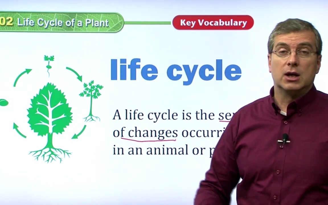 Science01Lesson02 Life Cycle of a Plant哔哩哔哩bilibili