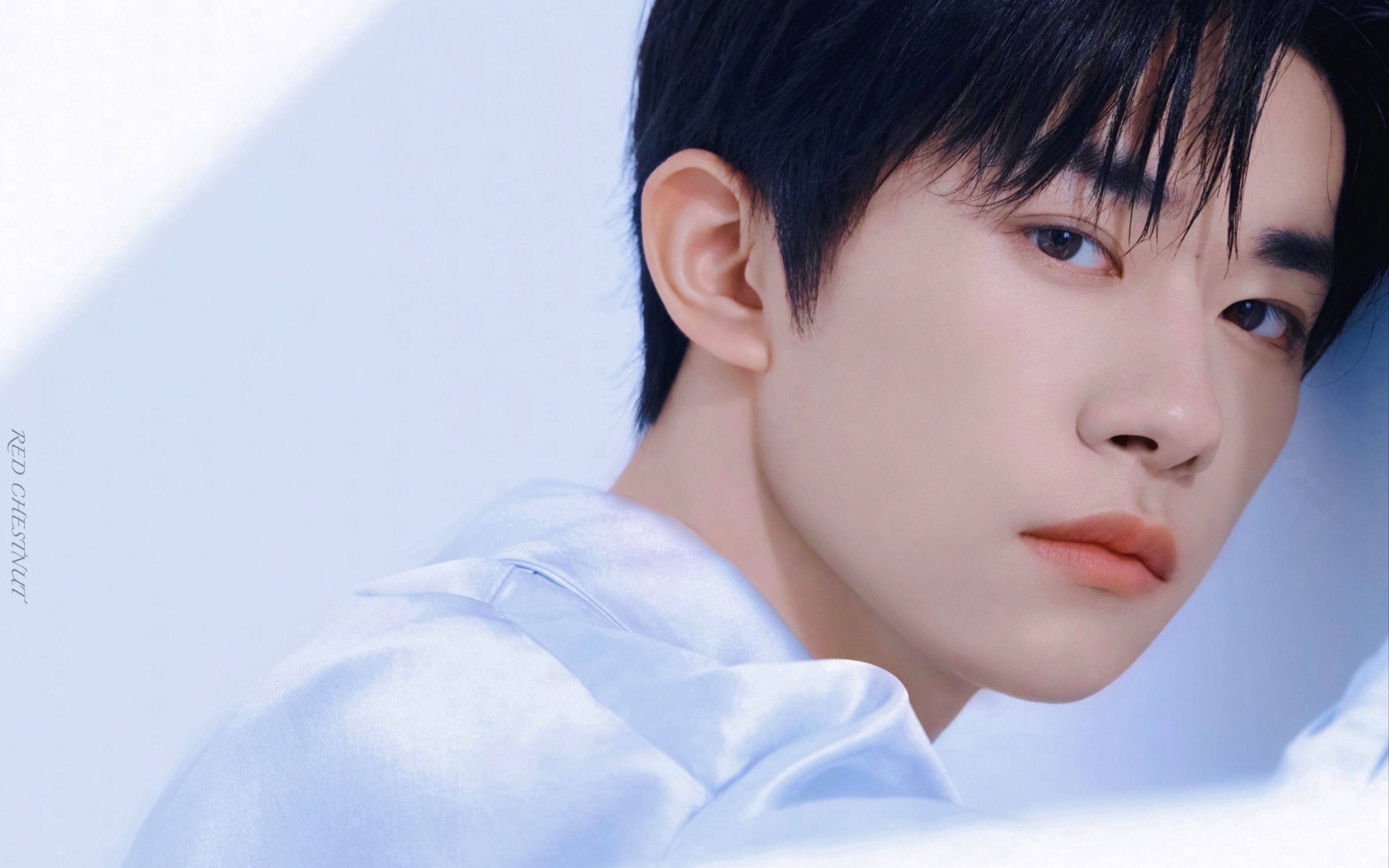 【一眼万年男明星】之青春时期暗恋的那个翩翩少年.