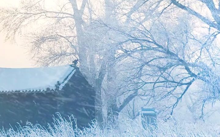 [图]我愿与你雪中慢步，不为浪漫，只求一路白头，永远止境地辗转在流年。#旅行#东北雪#雪景@DOU+小助手